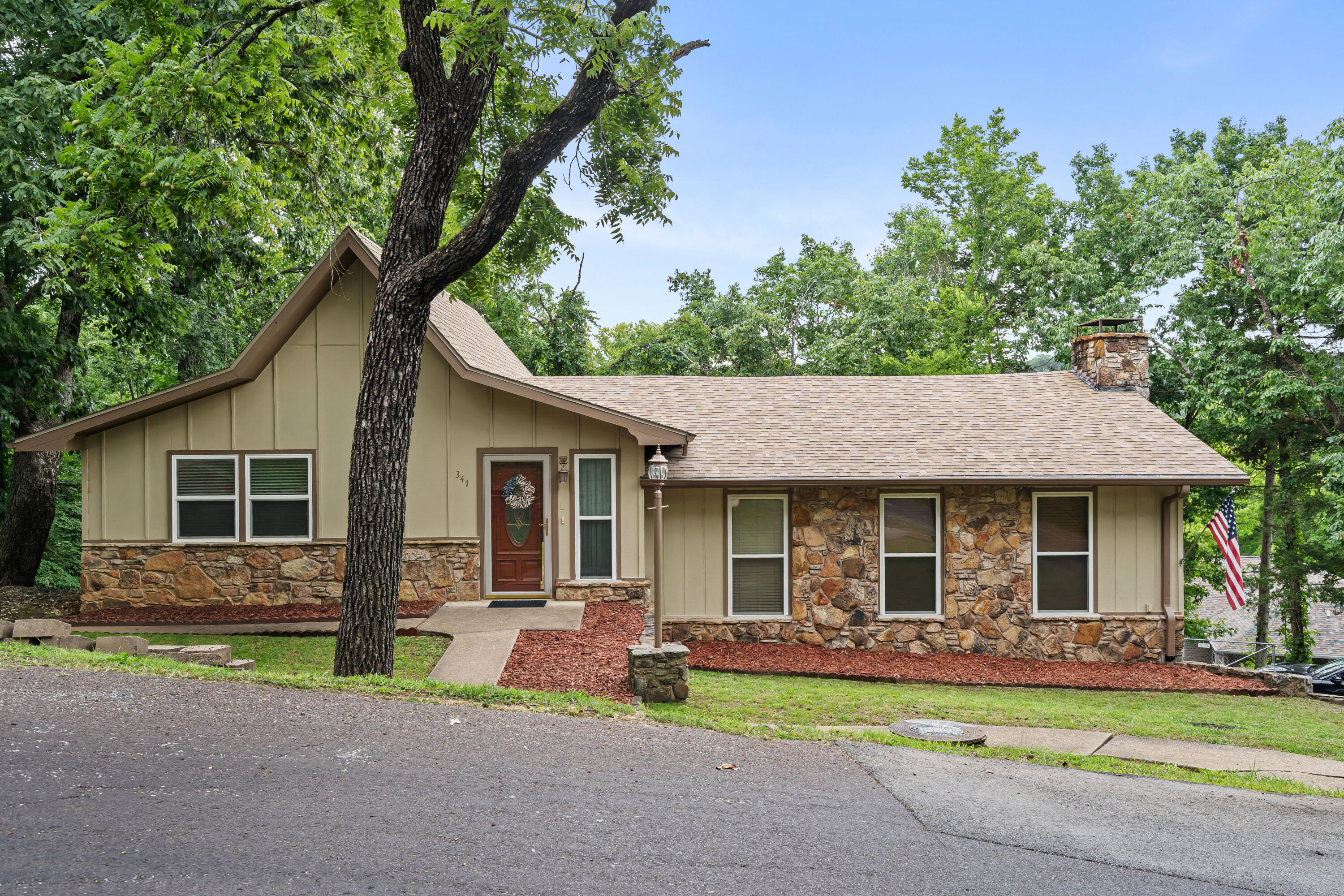 341 River Drive, Branson, MO 65616 — photo 3