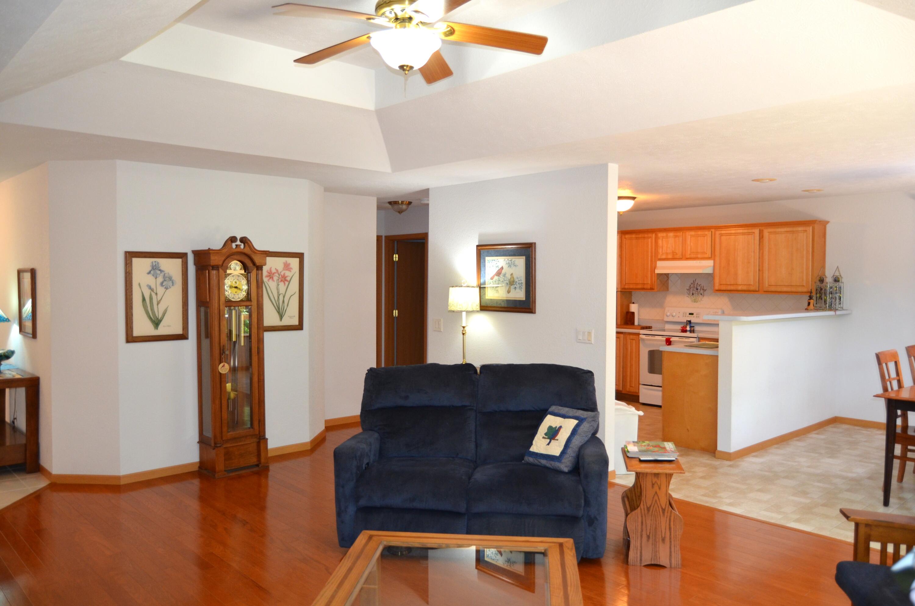 160 Micahs Crossing, Reeds Spring, MO 65737 — photo 2