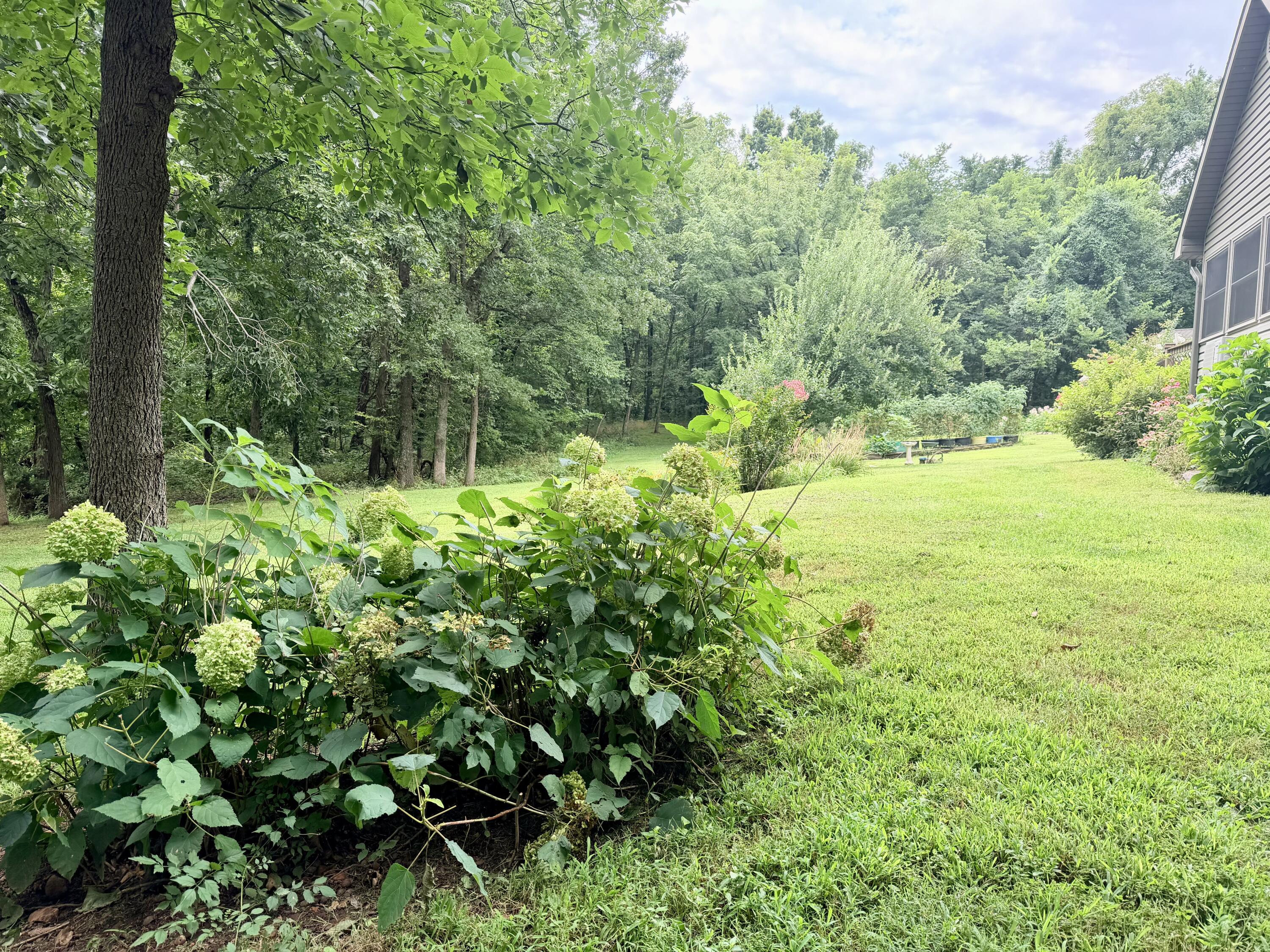 34 E Dade 86, Greenfield, MO 65661 — photo 3