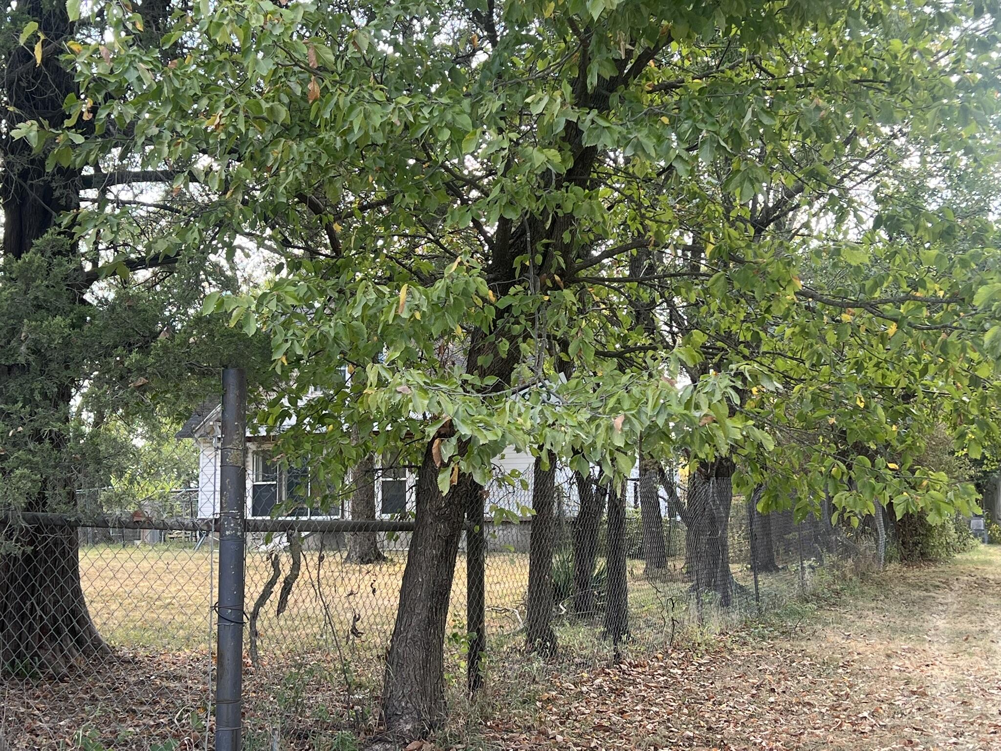 85 Foose Road, Buffalo, MO 65622 — photo 3