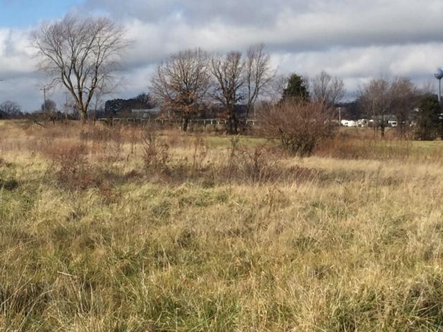 857 Redbud Street Tract B — photo