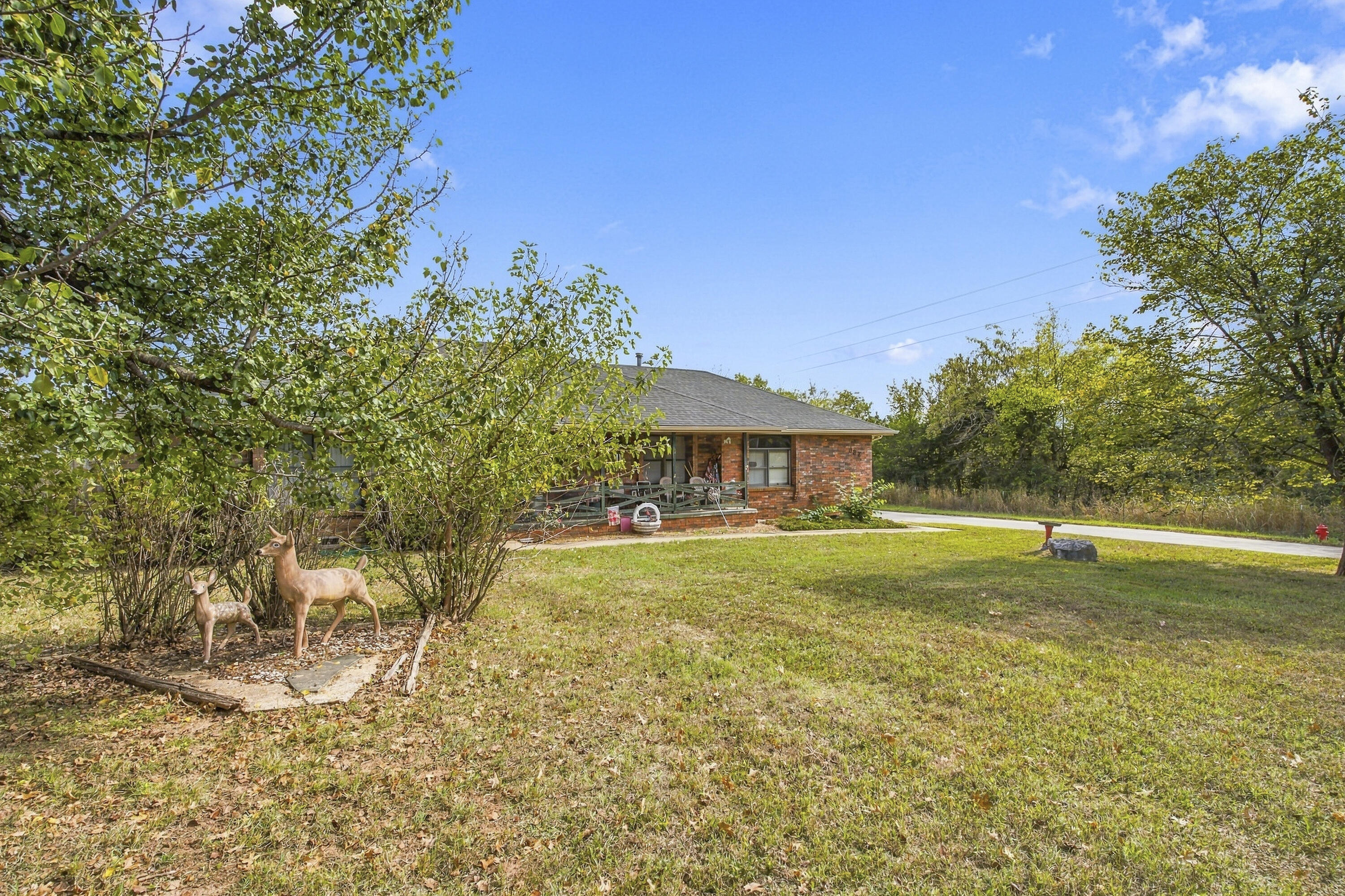 832 Barwick Place, Willard, MO 65781 — photo 3