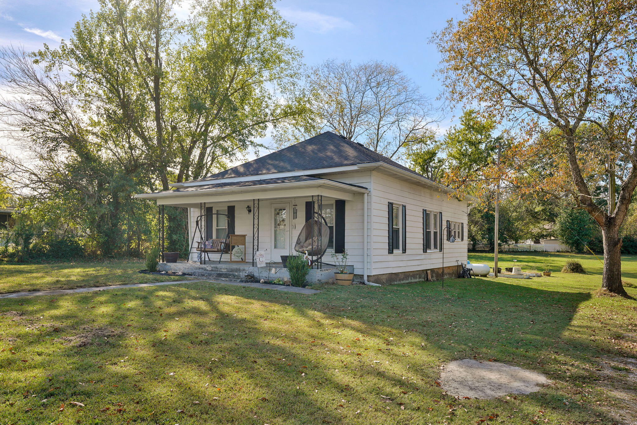 507 Willard Avenue, Clever, MO 65631 — photo 3
