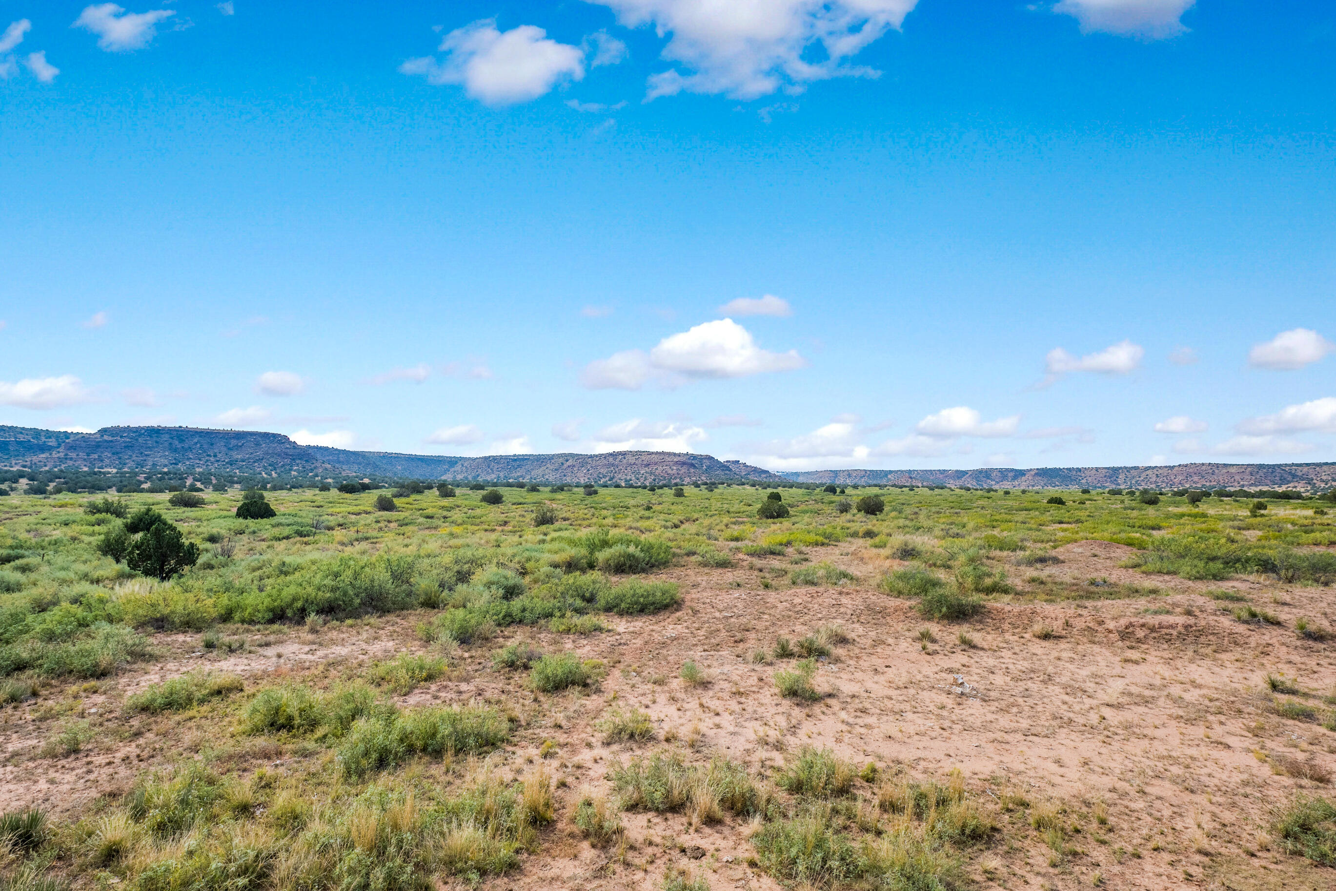 Home in Santa Rosa, NM 88435 — photo 3