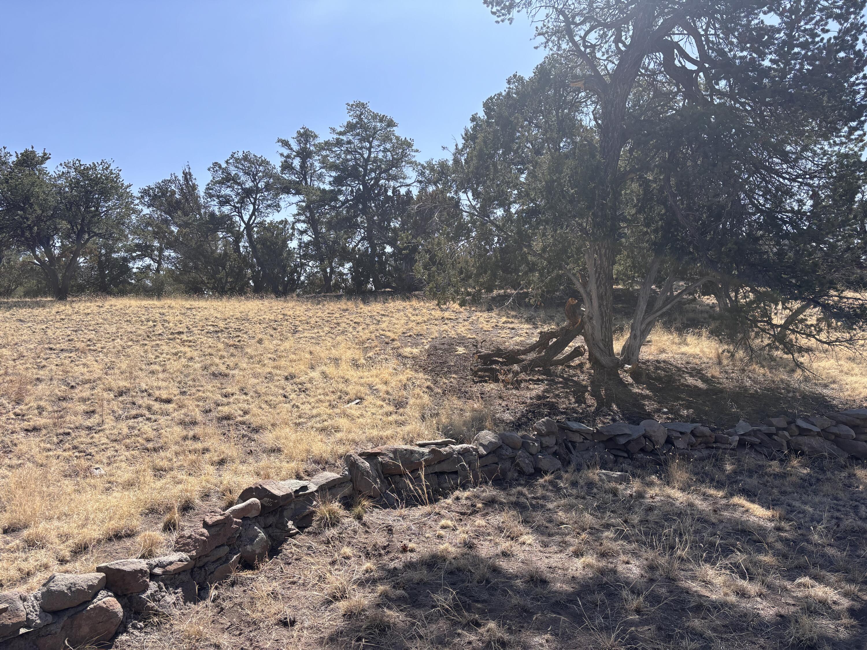 233 Turquoise Trail — photo