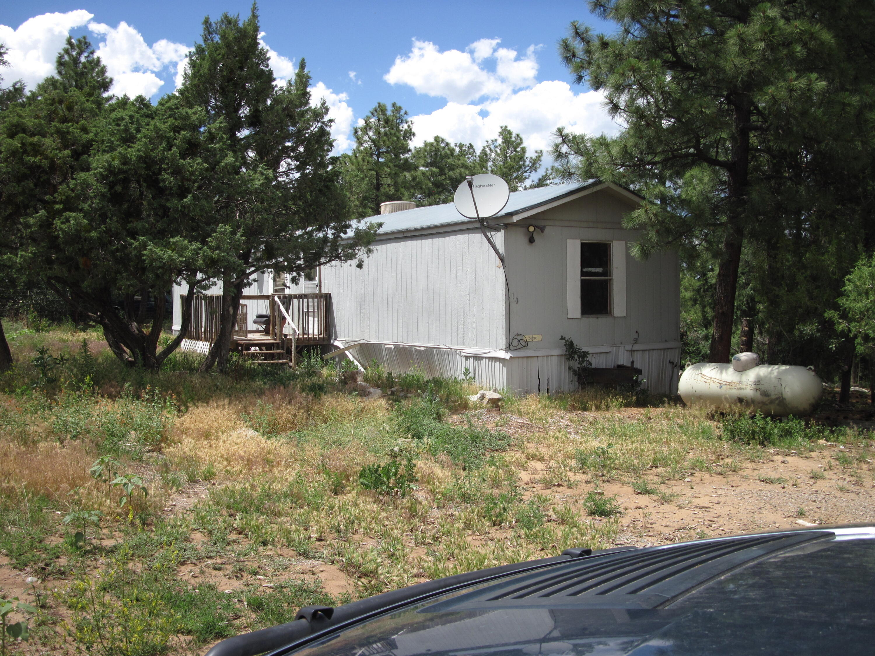 10 Mallard Drive — photo