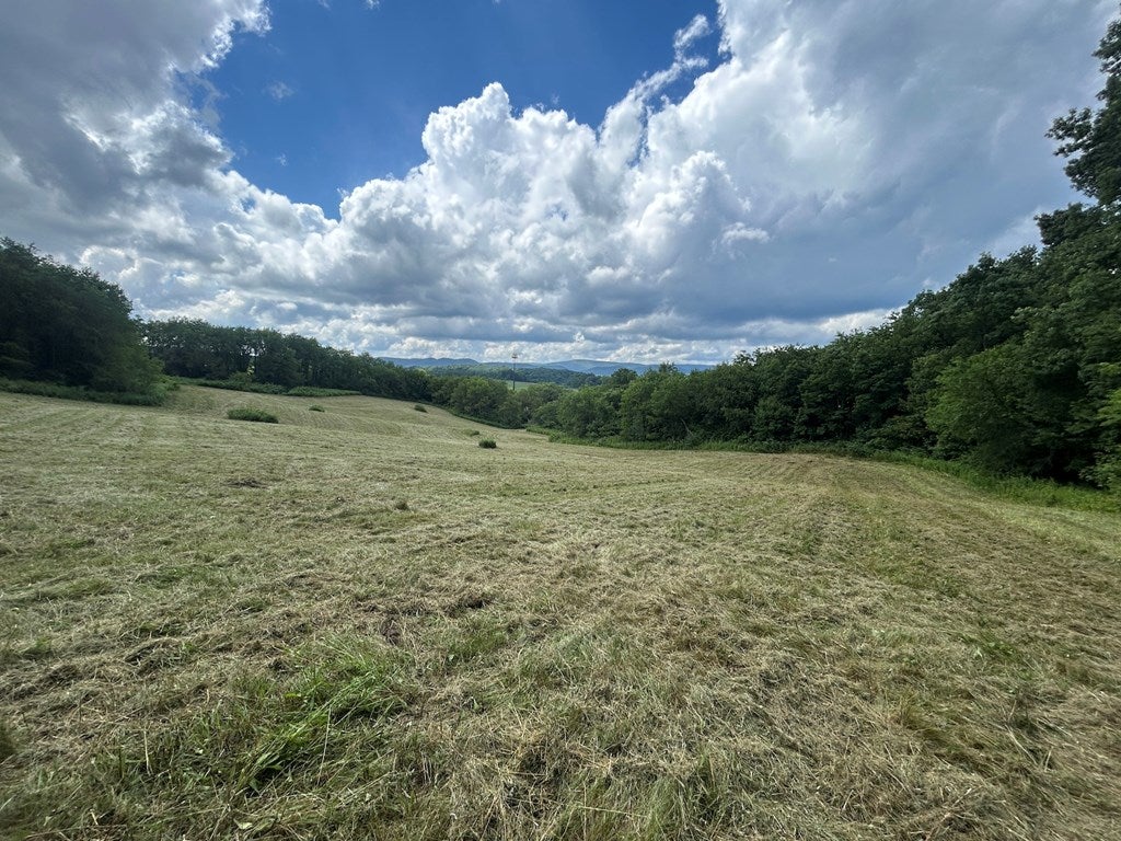16.75 ac Off Blacklick Rd, Rural Retreat, VA 24368 — photo 2
