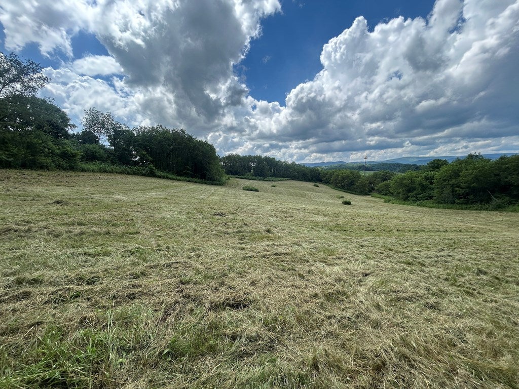 16.75 ac Off Blacklick Rd, Rural Retreat, VA 24368 — photo 3