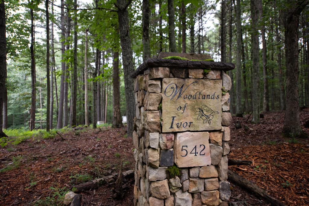 542 Chestnut Falls Lane — photo