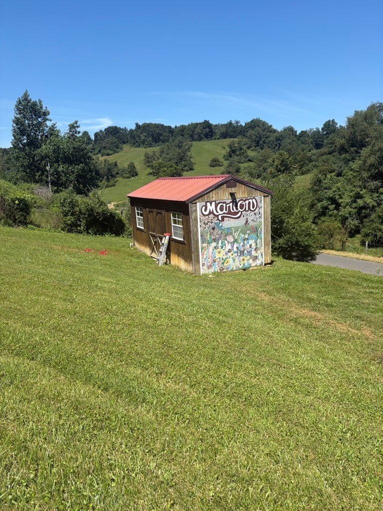 1228 Spring Valley Road, Marion, VA 24354 — photo 2