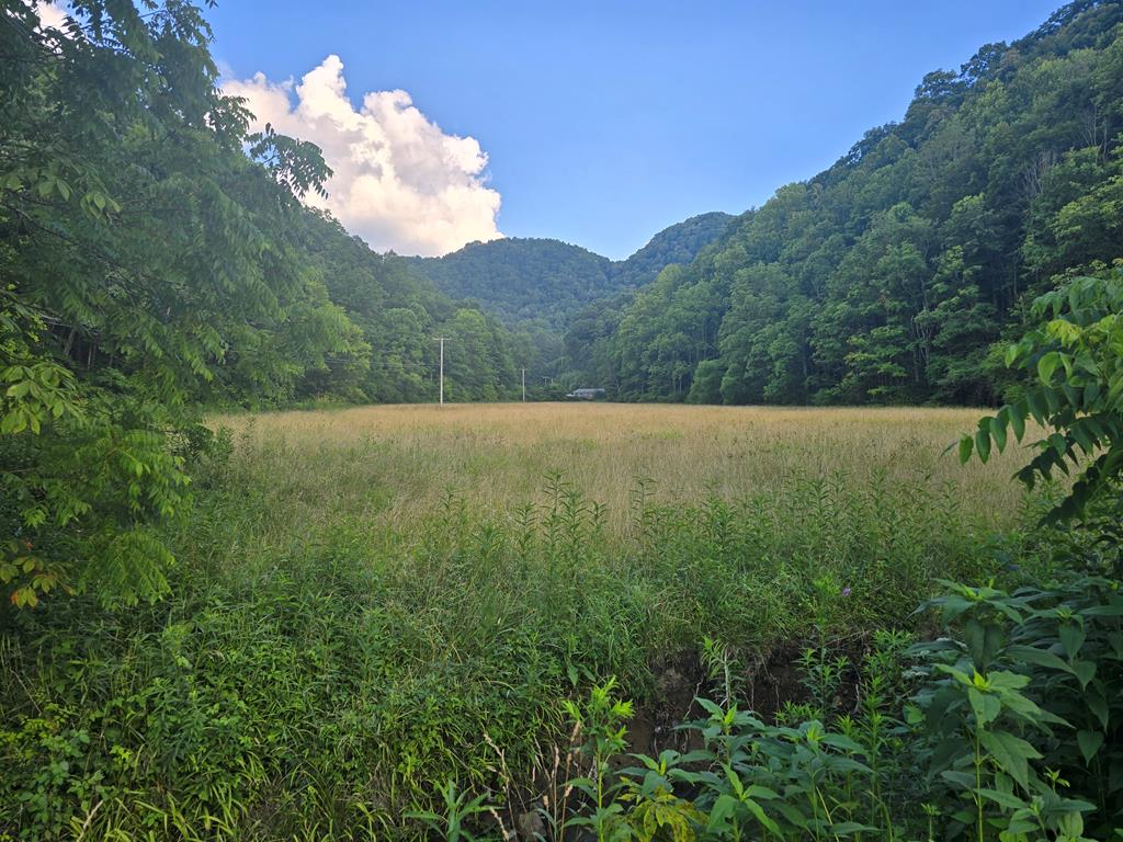 Tbd Lickbranch Road — photo