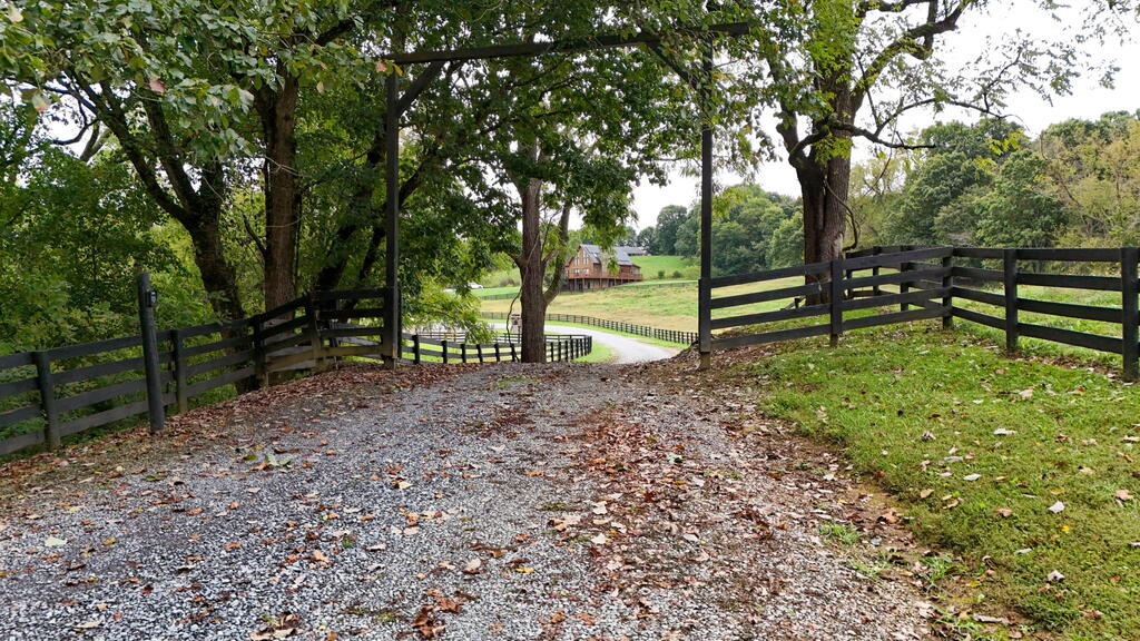 29458 Blue Spring Rd, Meadowview, VA 24361 — photo 2