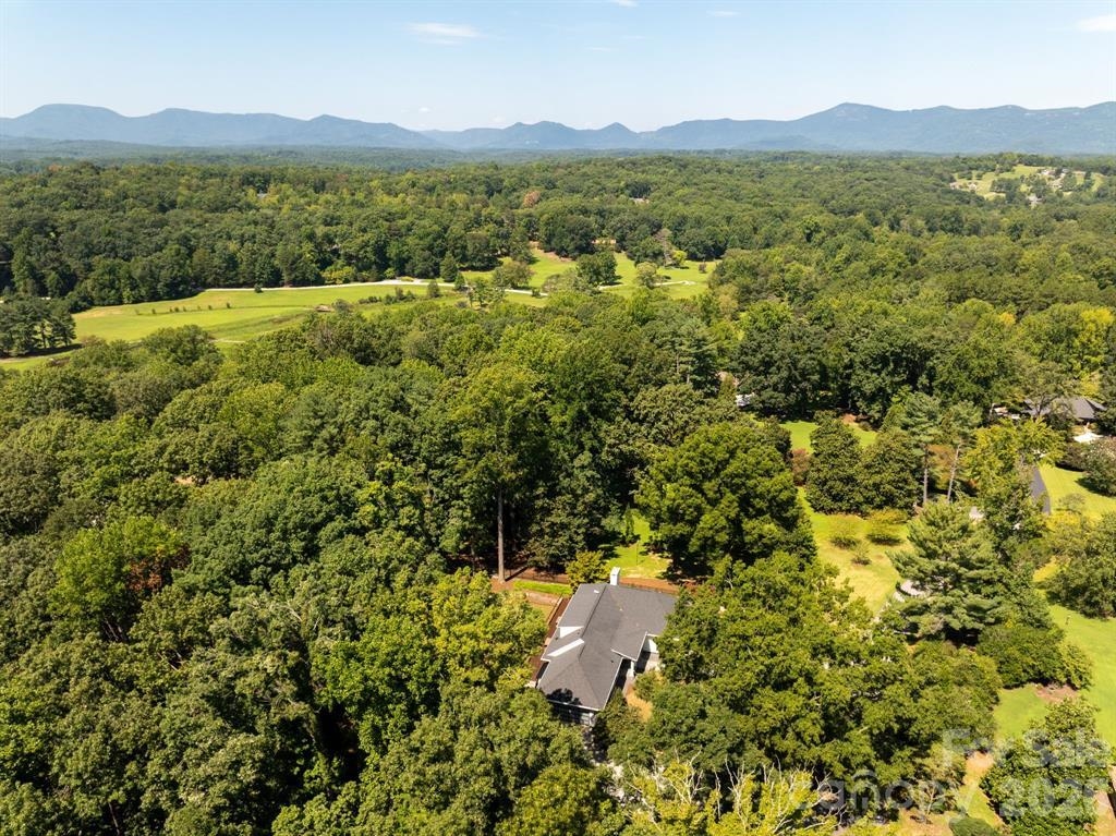 159 Silver Fox Lane, Tryon, NC 28782 — photo 3