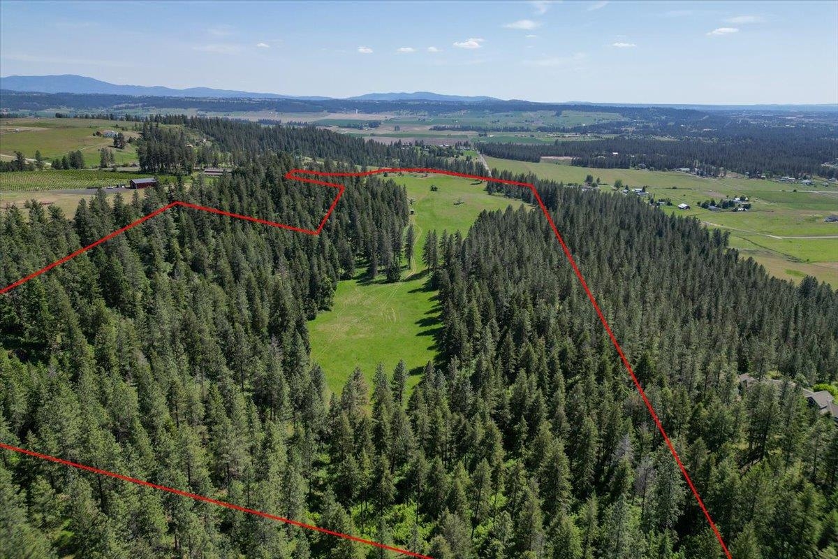 17323 N Lower Greenbluff Rd, Colbert, WA 99005 — photo 3
