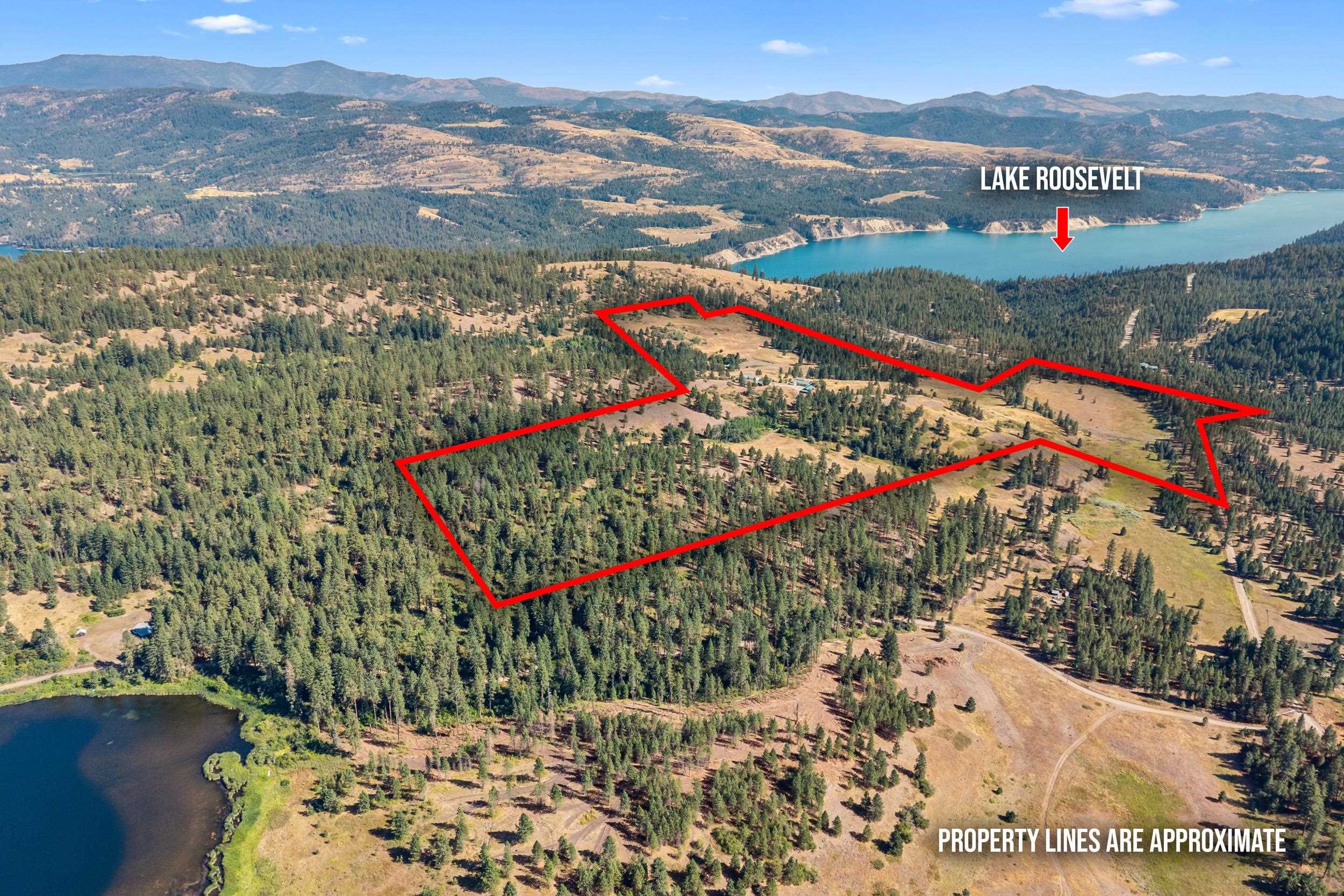 26 Stray Dog Canyon Rd, Inchelium, WA 99138 — photo 2