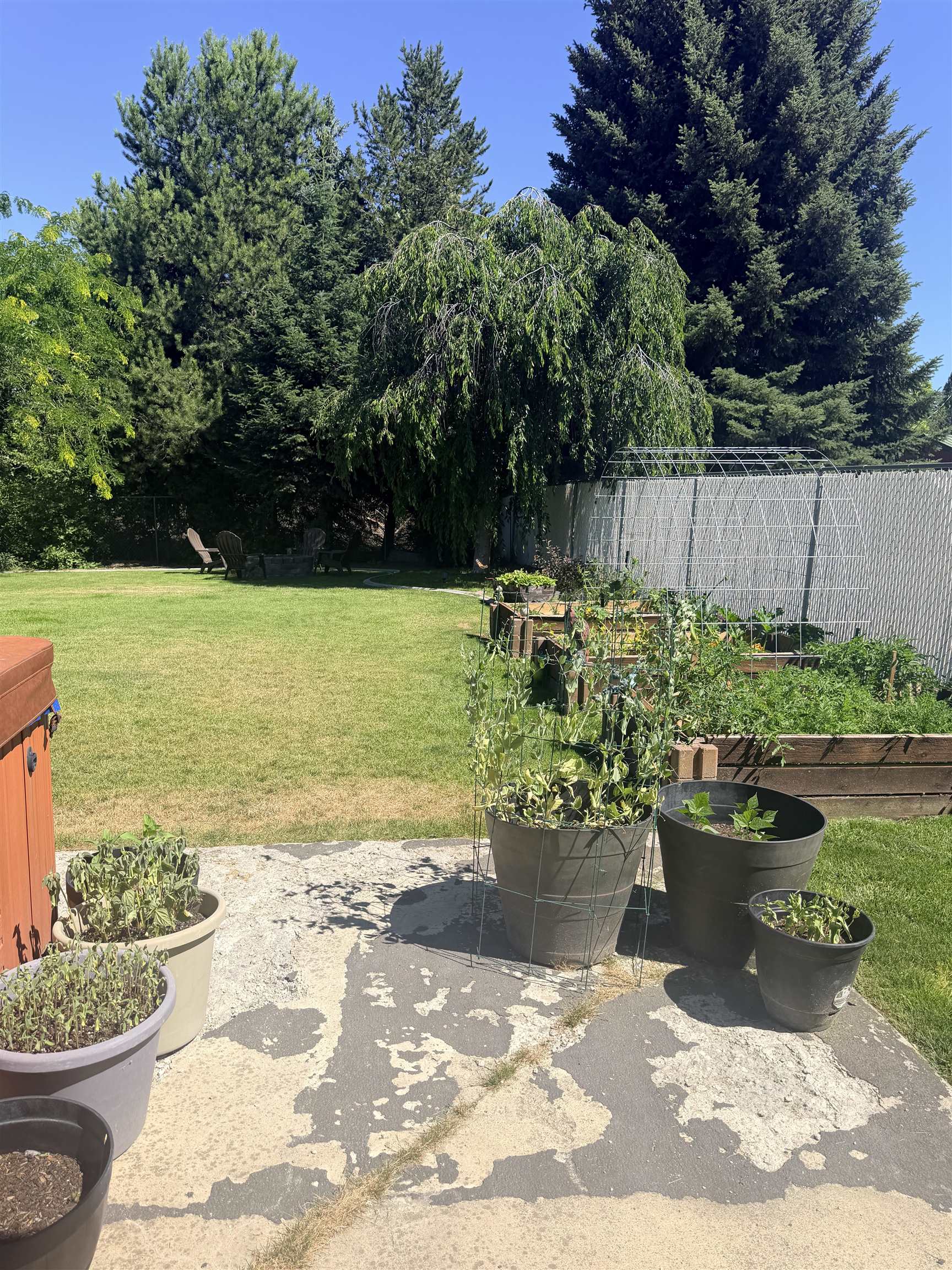 517 E Westcrest Ave, Colbert, WA 99005 — photo 3
