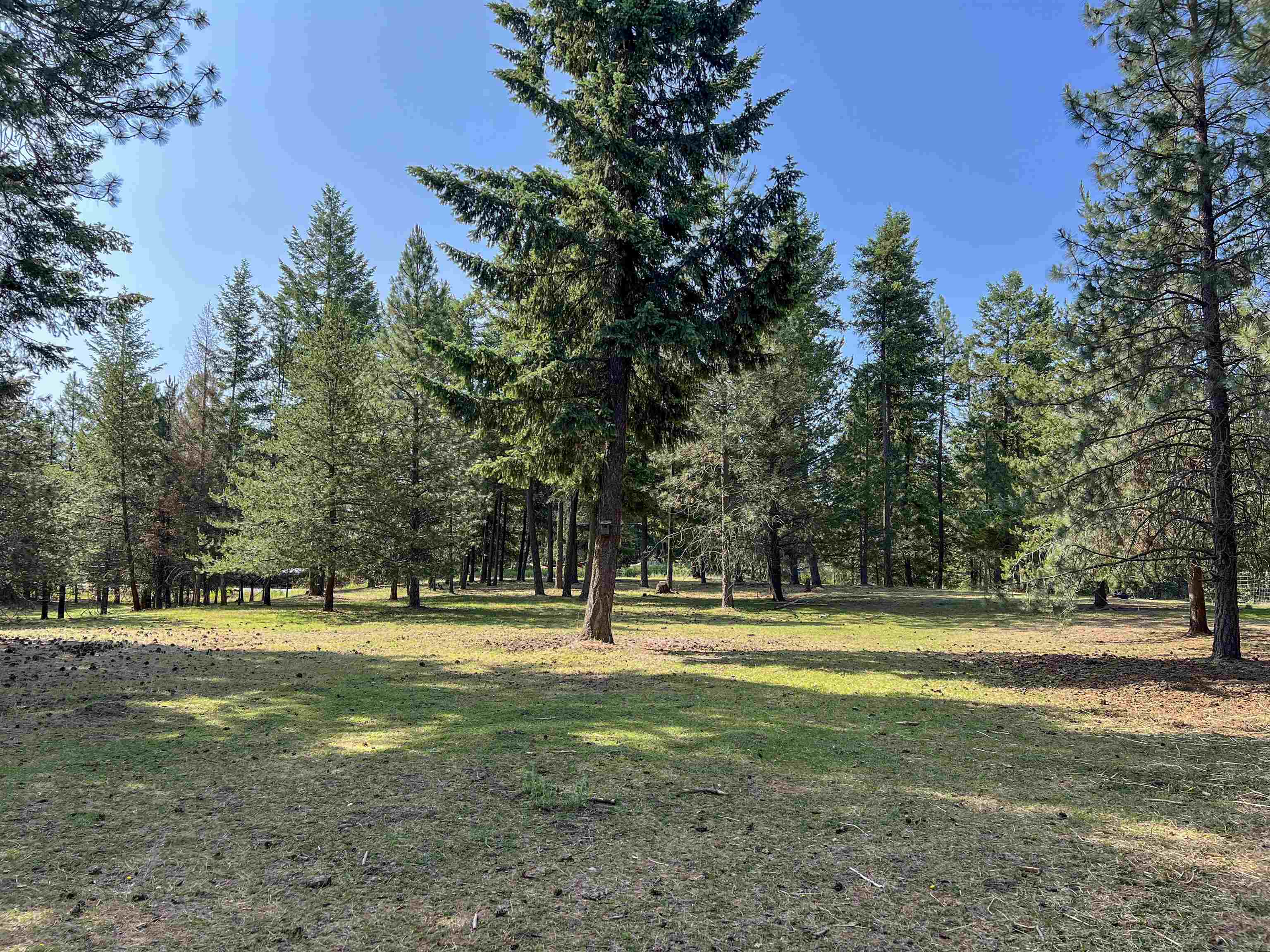 563 Graham Rd, Colville, WA 99114 — photo 2
