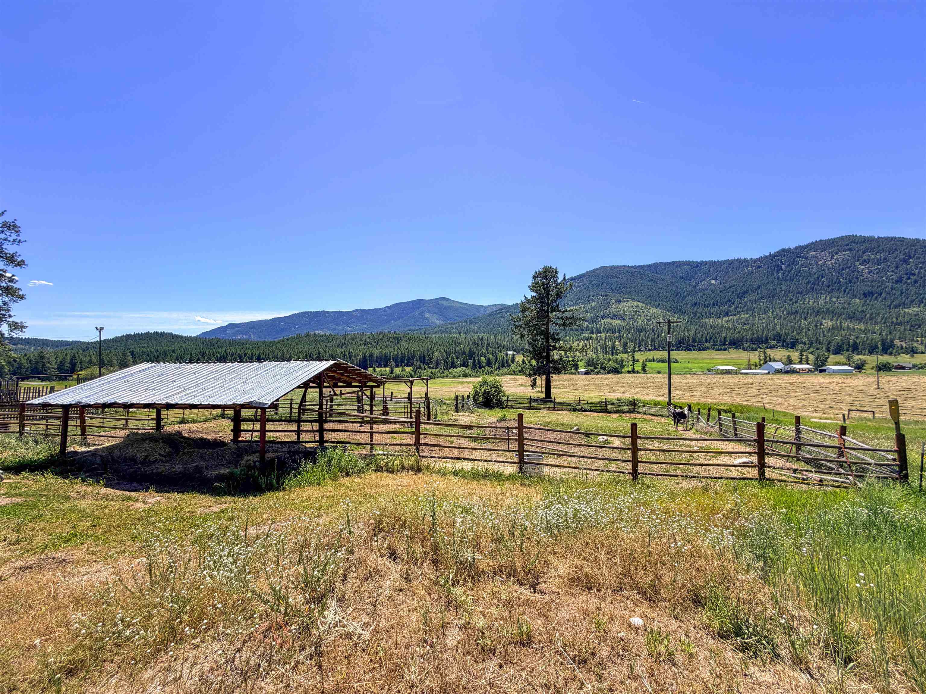 2098 Marble Valley Basin Rd, Addy, WA 99101 — photo 3