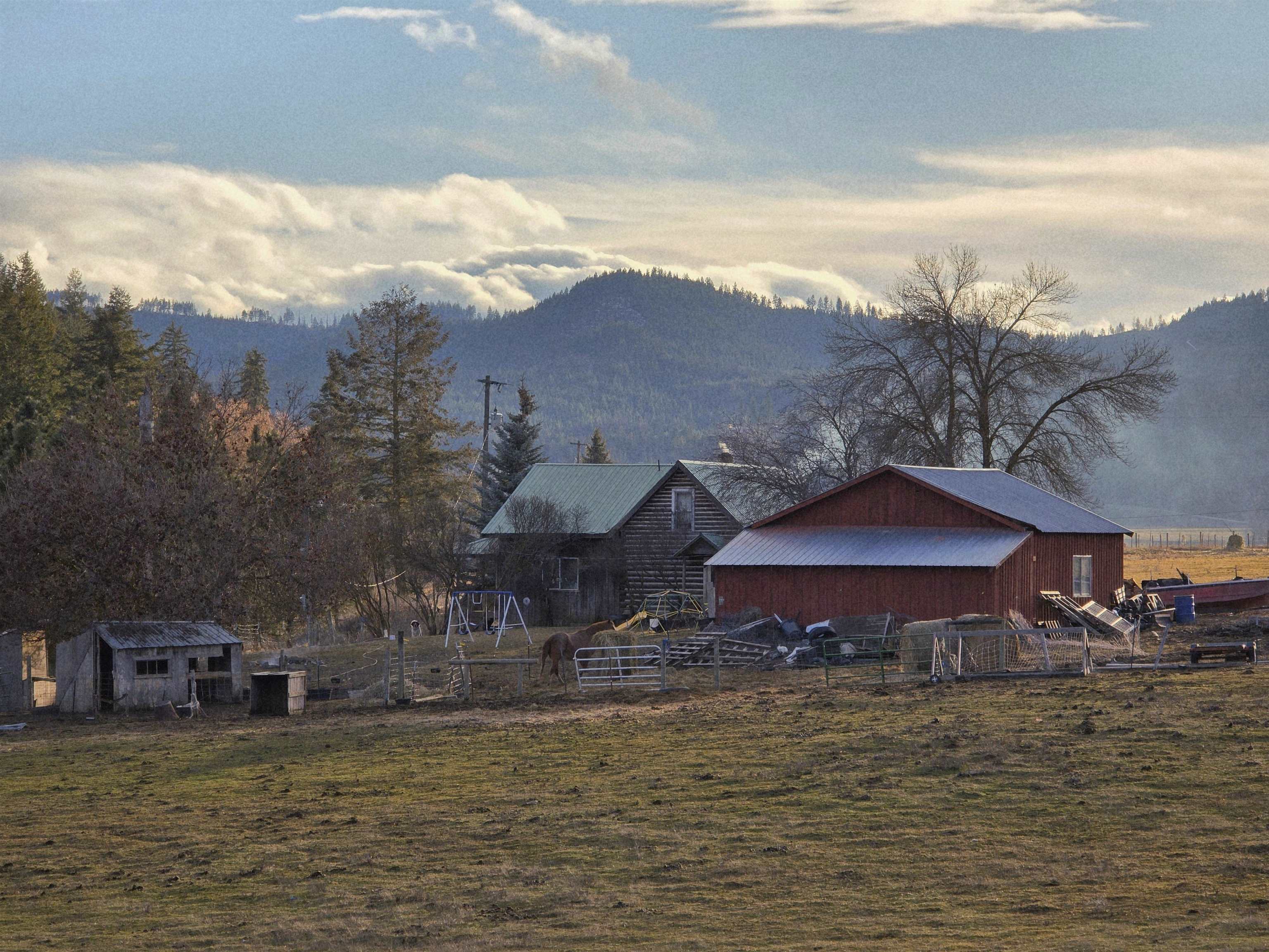 2477 Cedonia-Addy Rd, Addy, WA 99101 — photo 2
