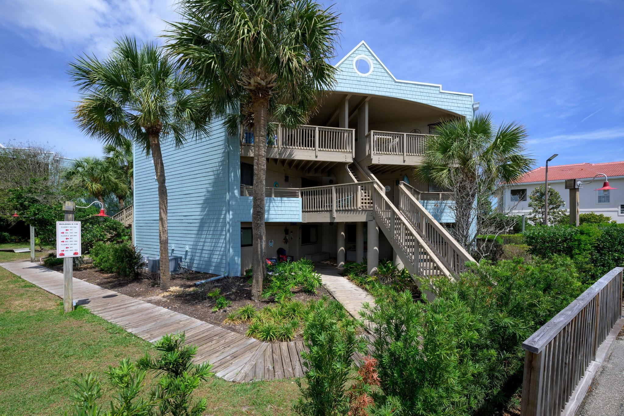 130 Ocean Hibiscus — photo