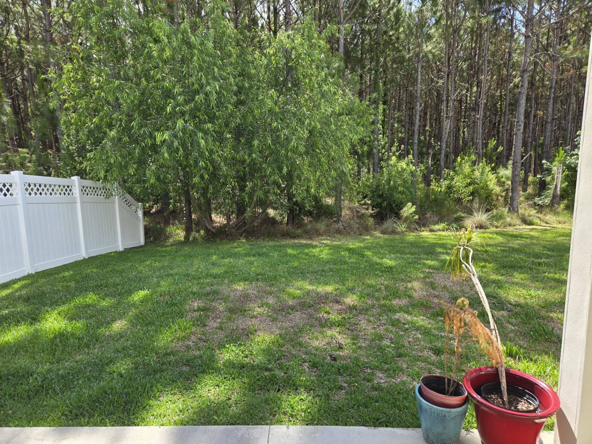 314 Thistleton Way, St Augustine, FL 32092 — photo 3