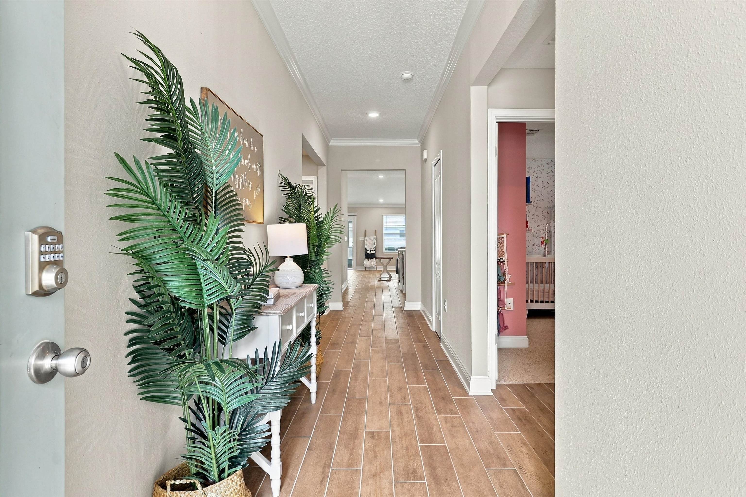 779 Narvarez Avenue, St Augustine, FL 32084 — photo 3