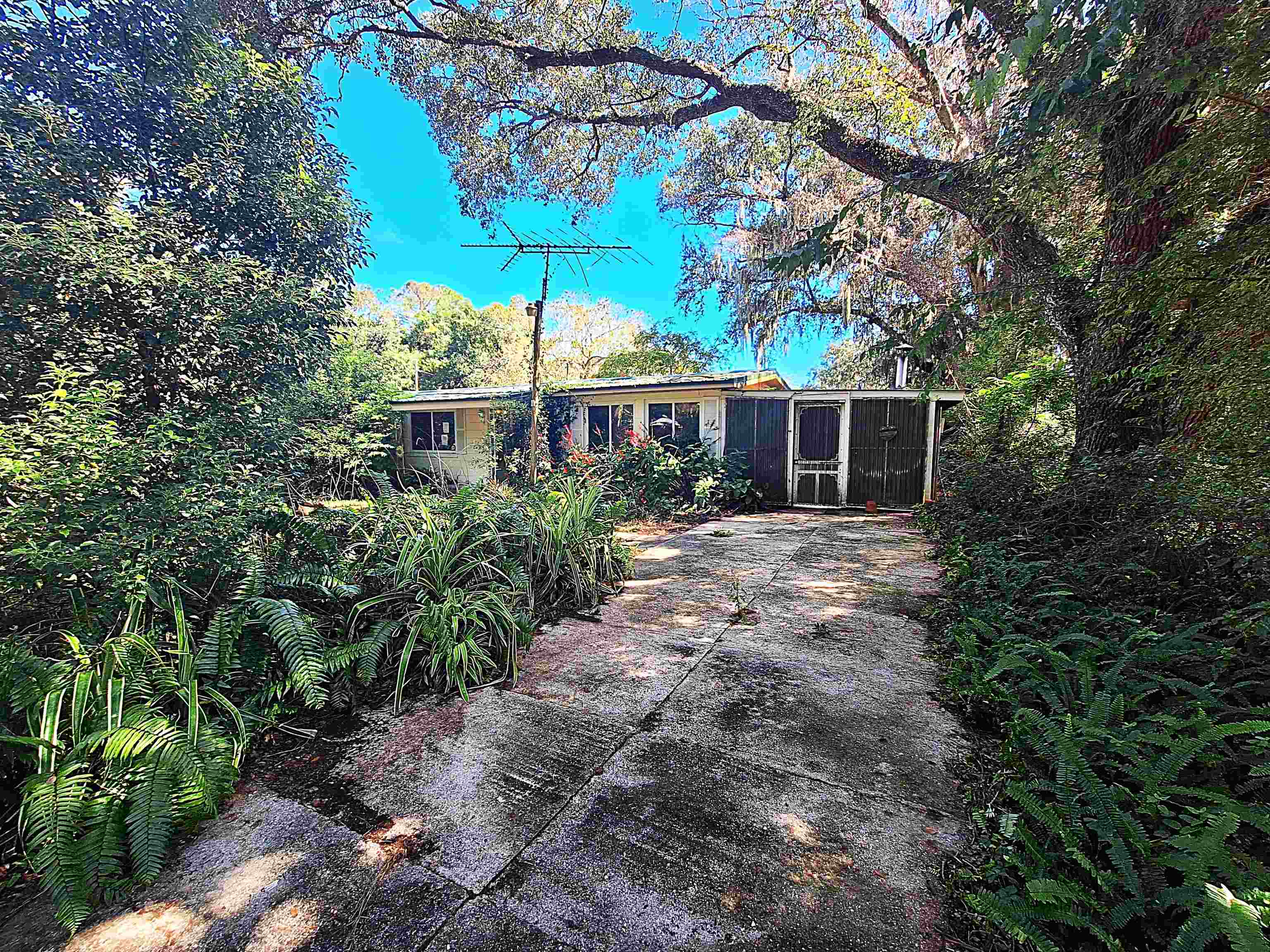 391 Hill Street — photo