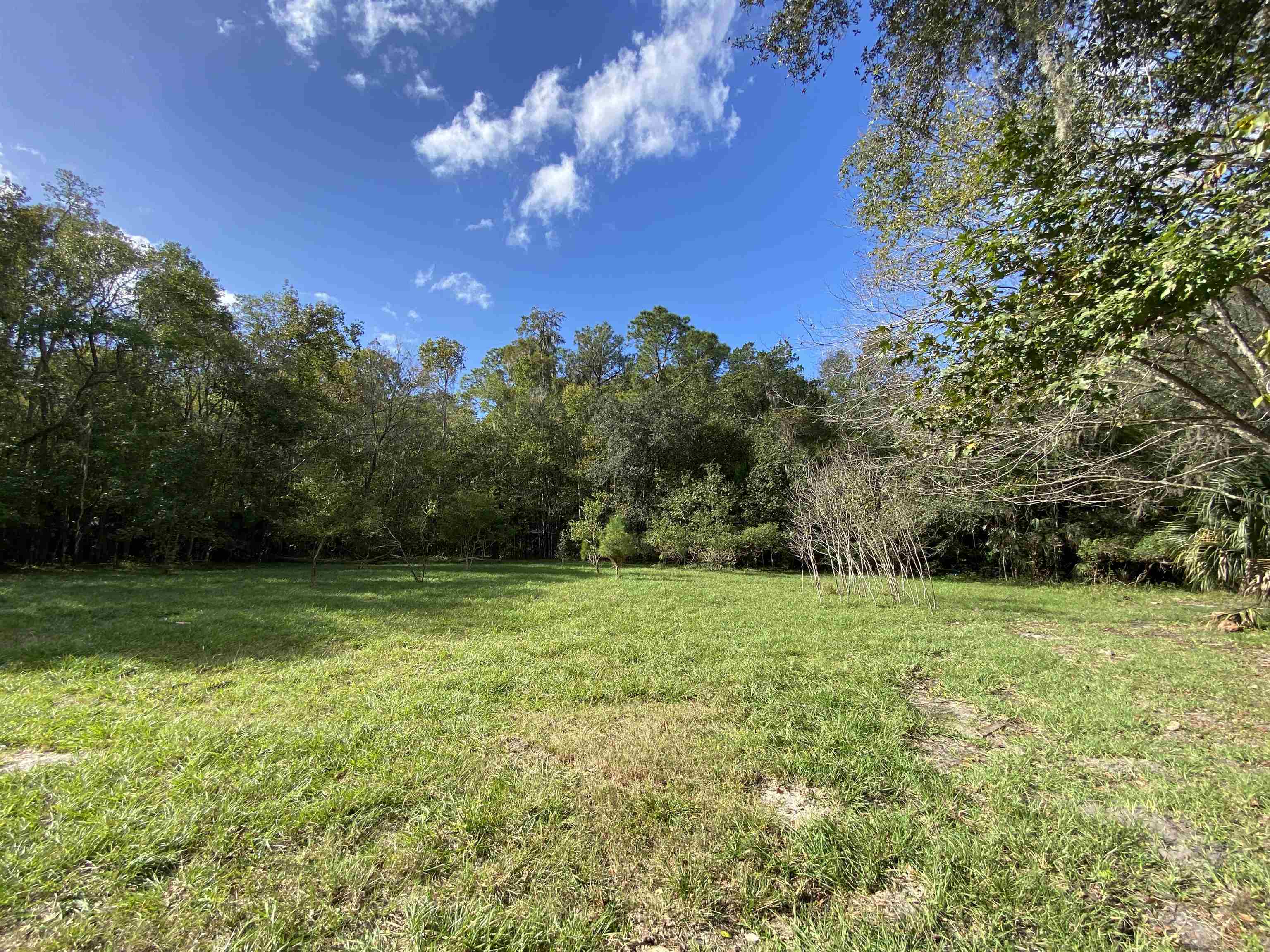 2045 Carter Road, St Augustine, FL 32084 — photo 3