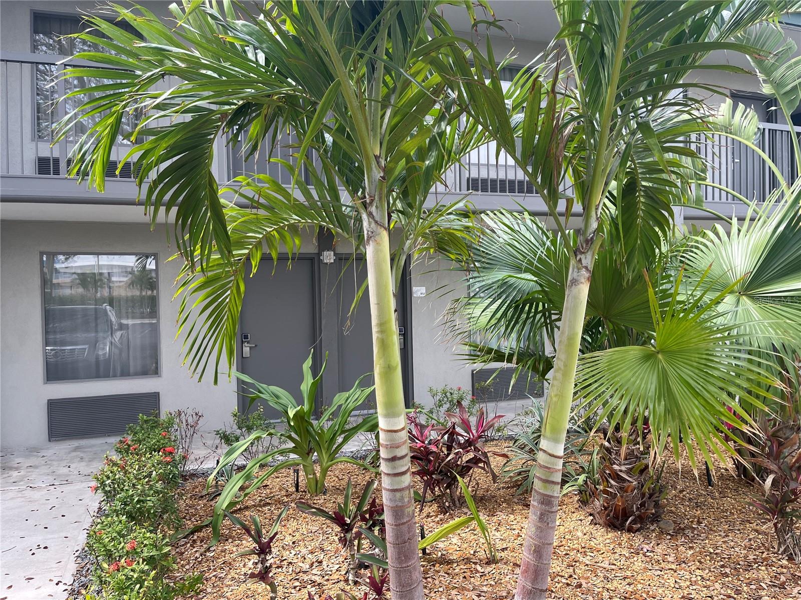 7150 N Tamiami Trail S510 — photo