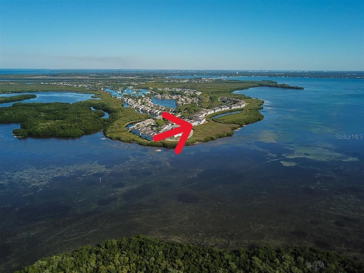 1323 Perico Point Circle 107 — photo