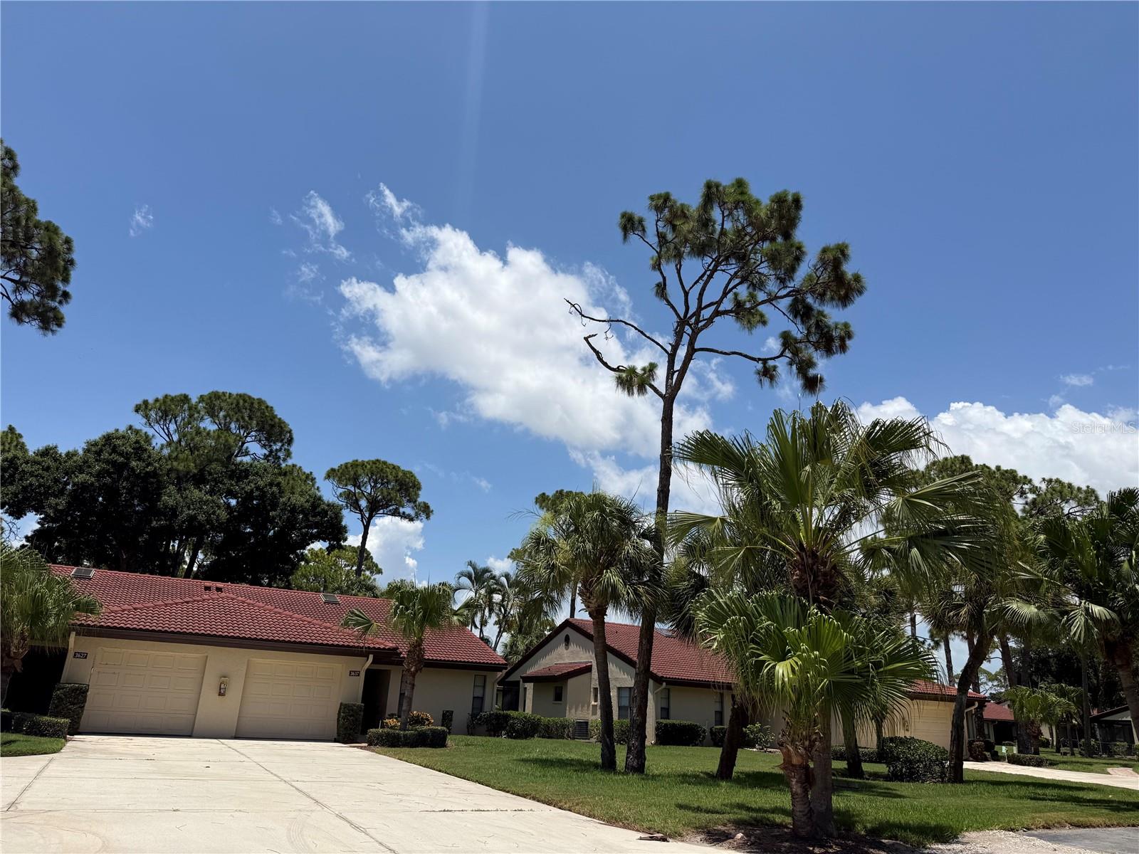 3637 Yellow Pine Court 146 — photo