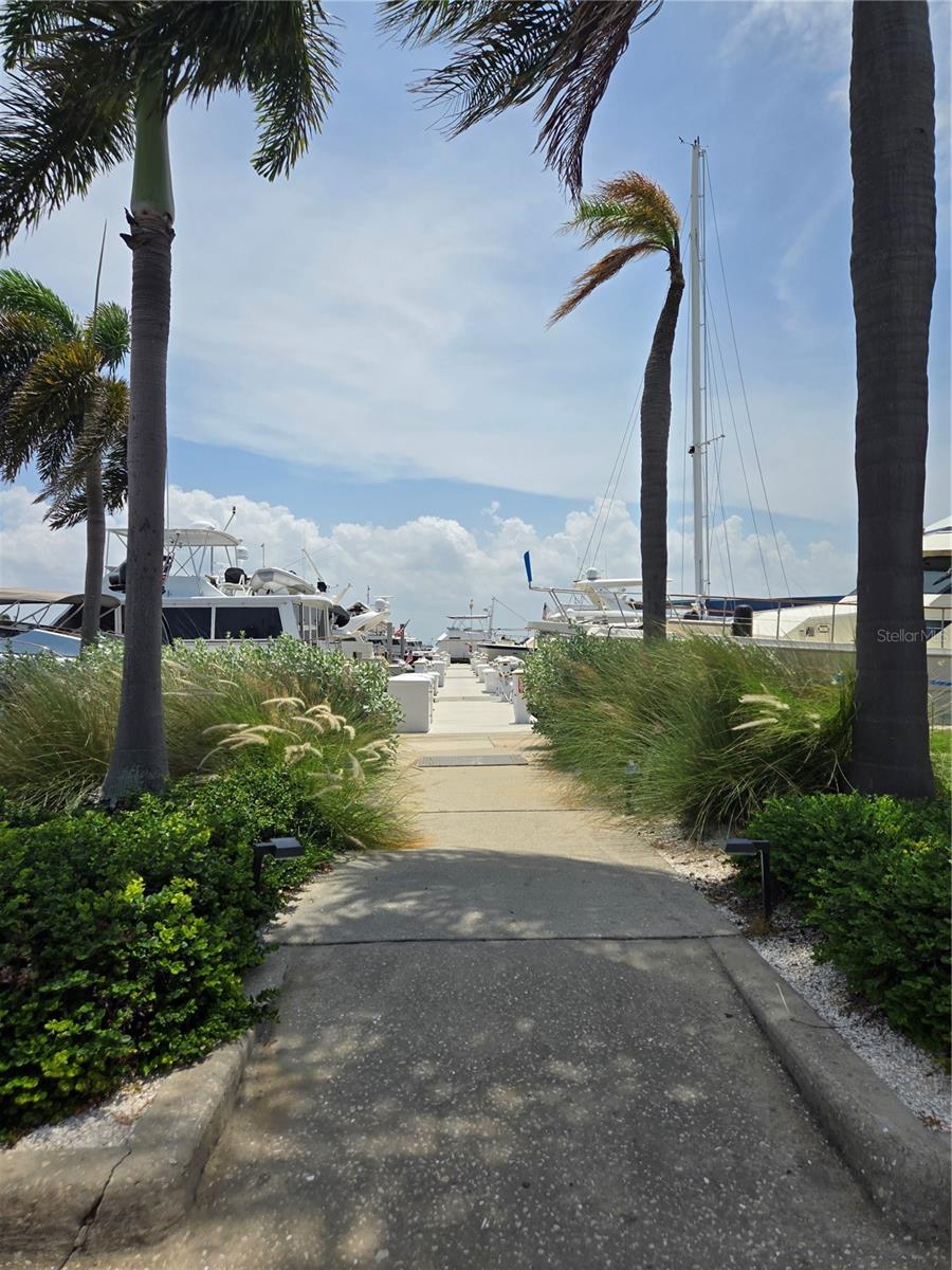 2800 Harbourside Drive D-16 — photo