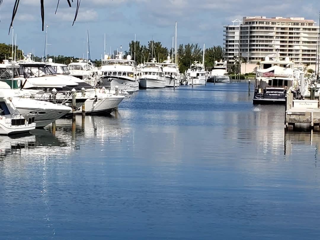 2800 Harbourside Drive Drive M-10 — photo