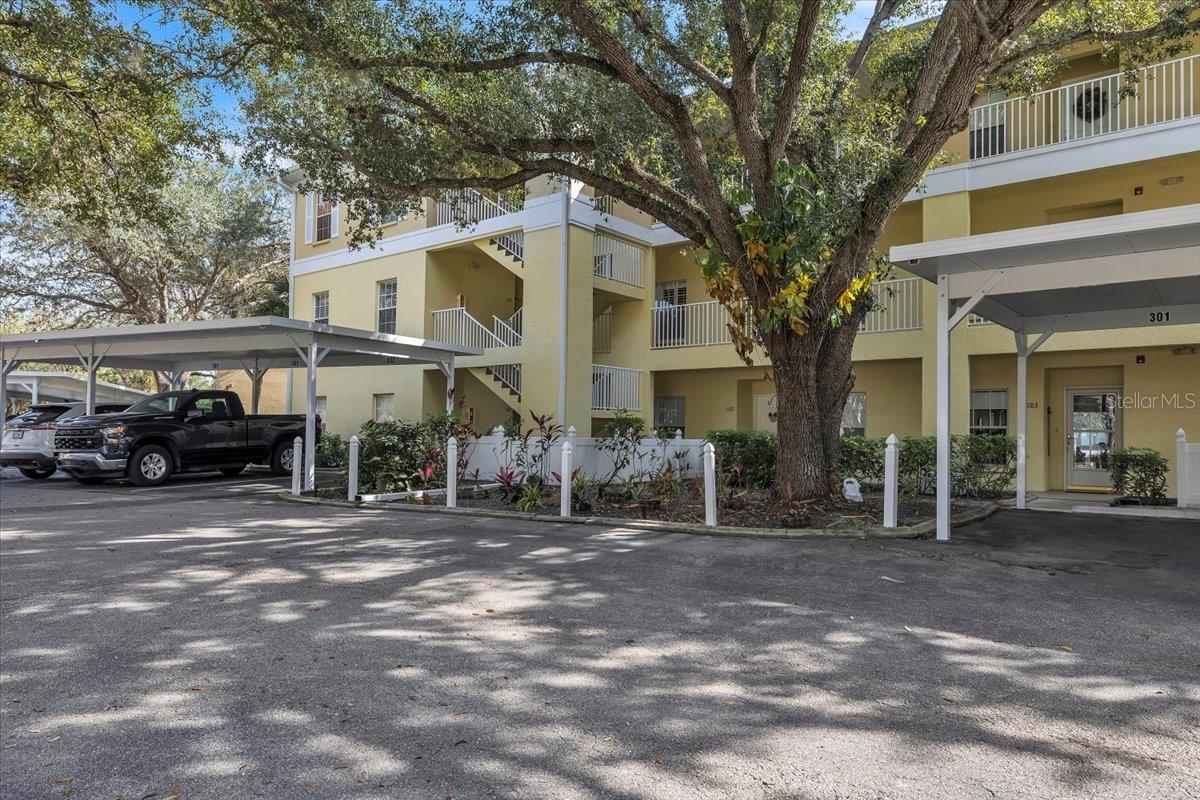 19335 Water Oak Drive 301 — photo