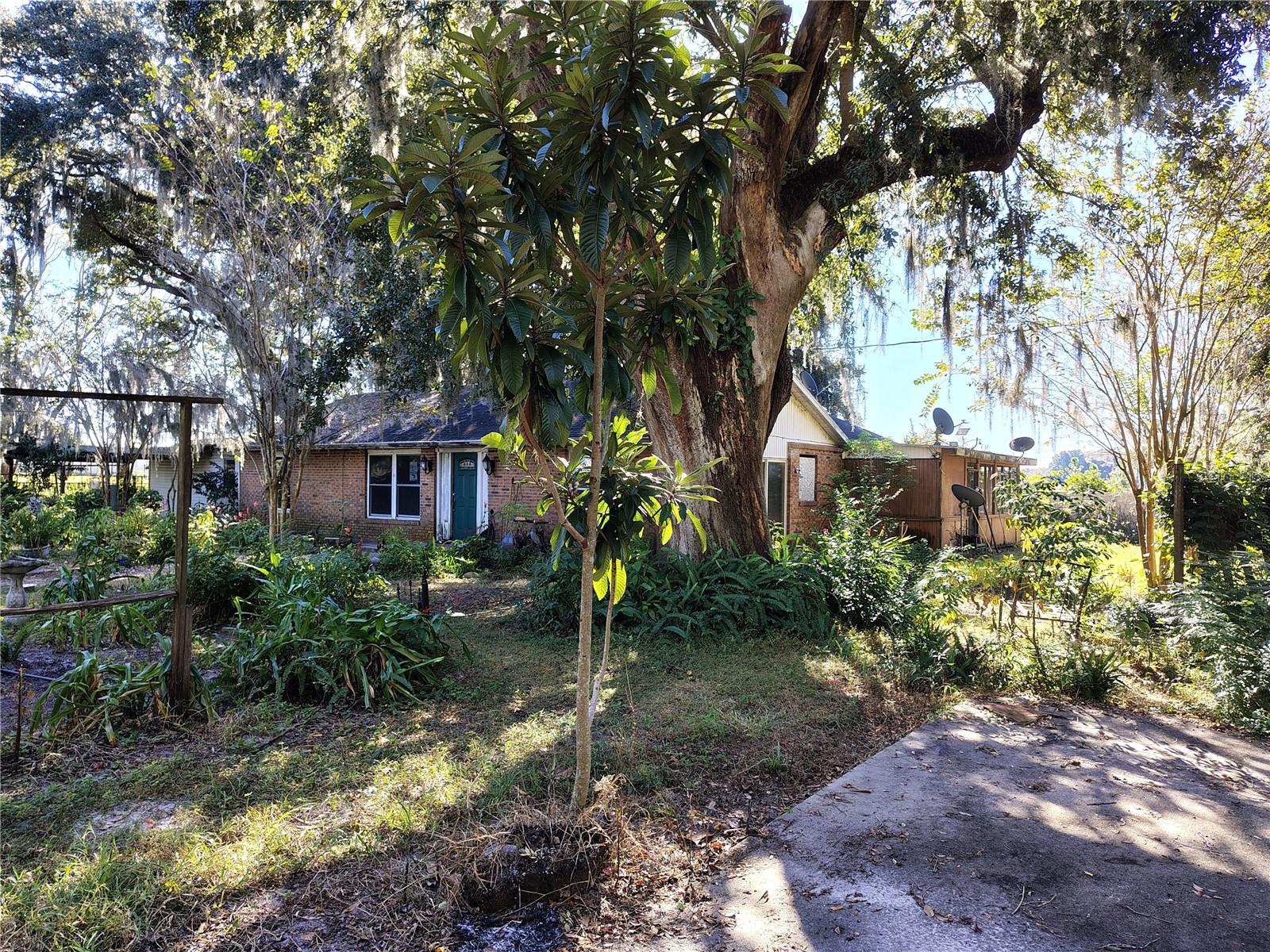3537 E C 462 — photo
