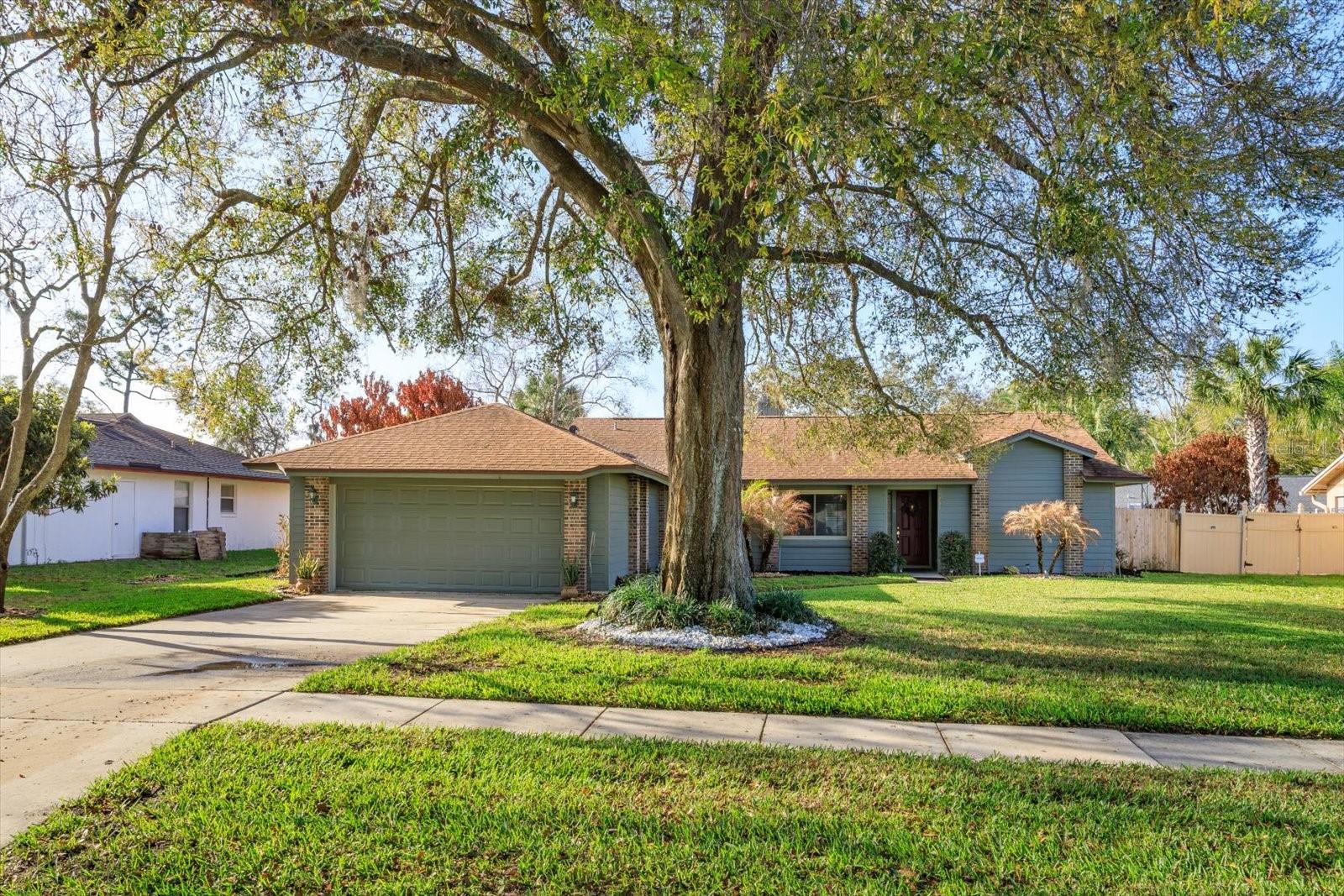 9237 Sabal Palm Circle — photo