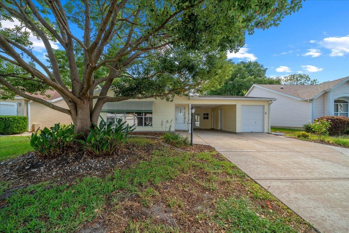 1133 Del Toro Drive — photo