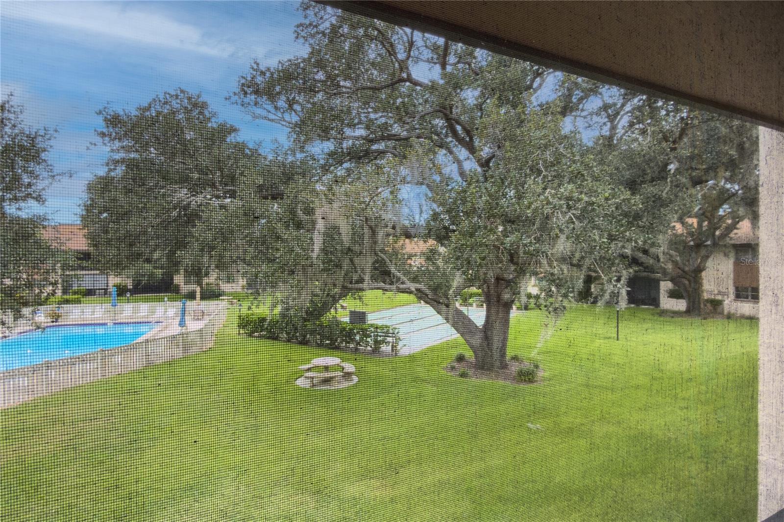 2448 Clubhouse Dr #202 — photo