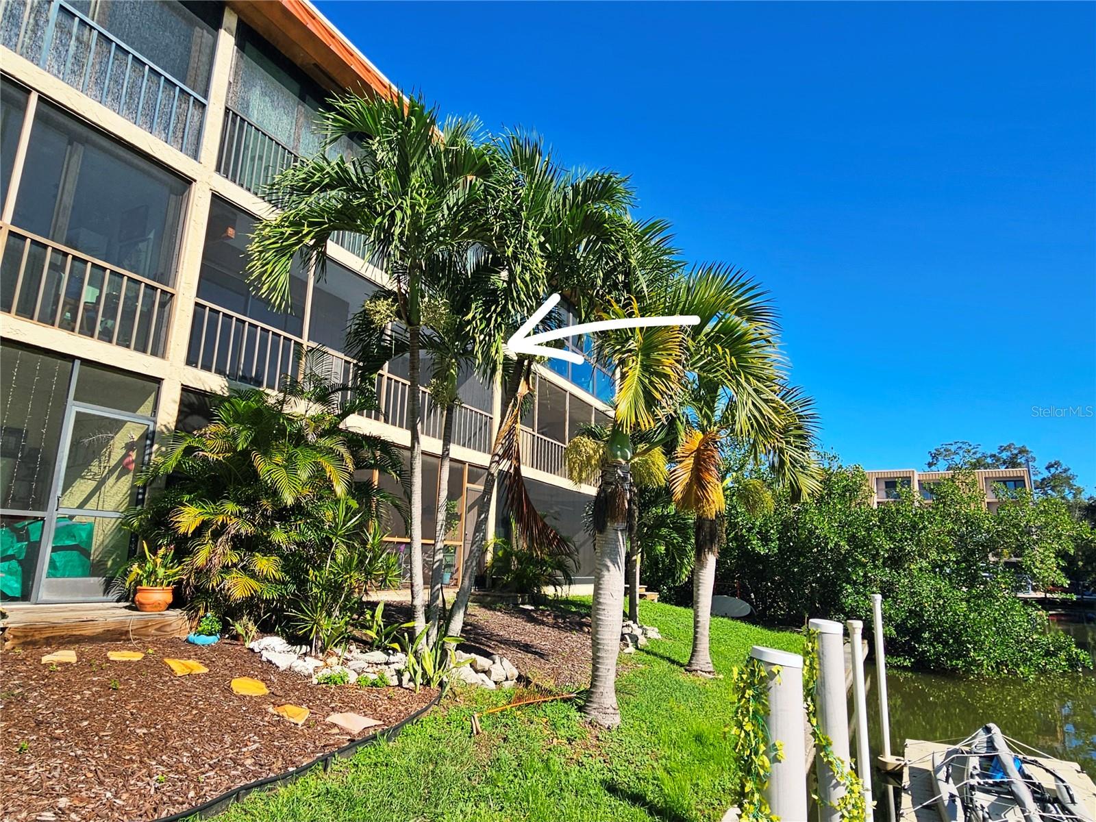 1650 Pine Tree Ln #204 — photo