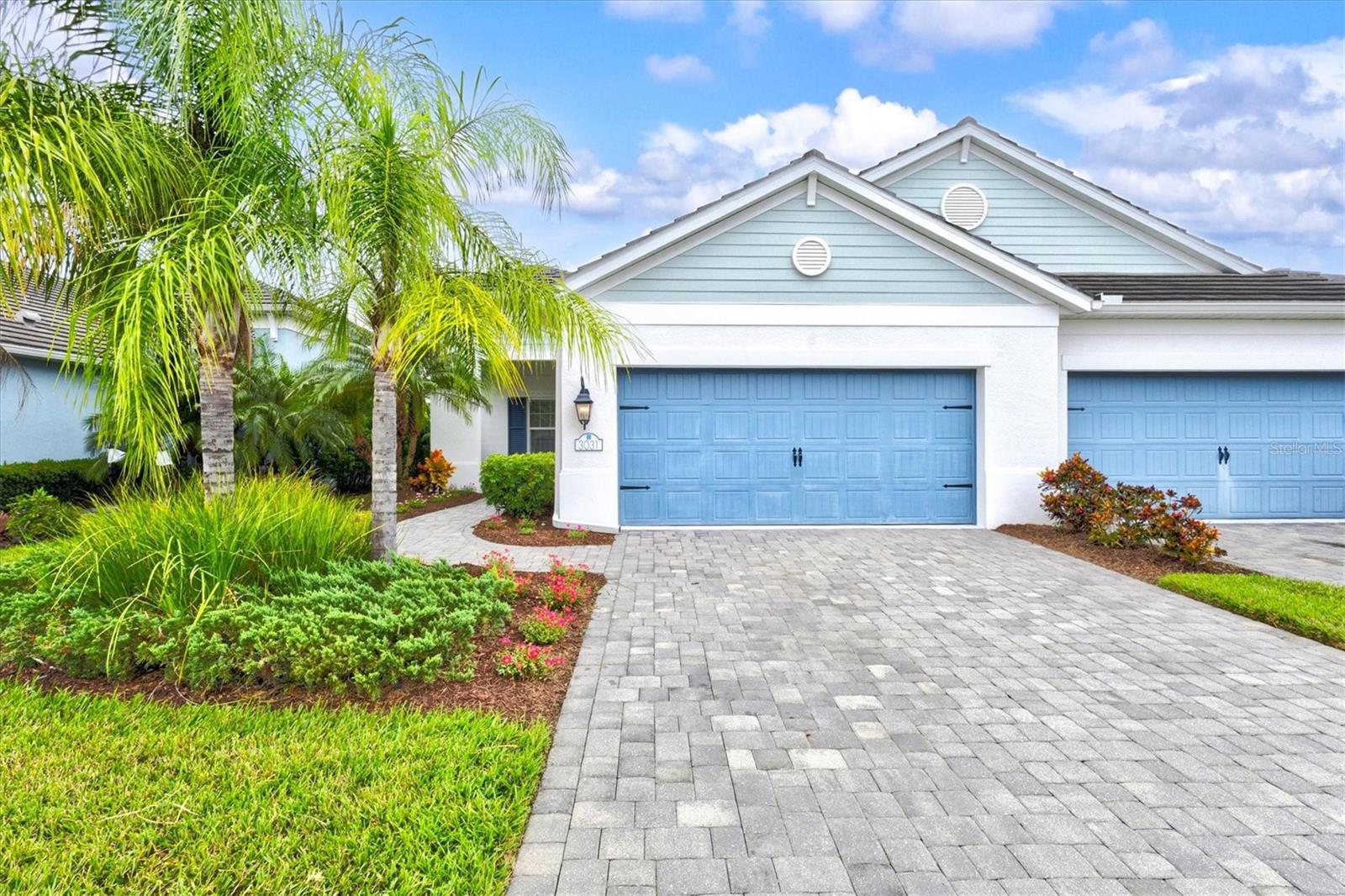 3031 Sky Blue CV — photo
