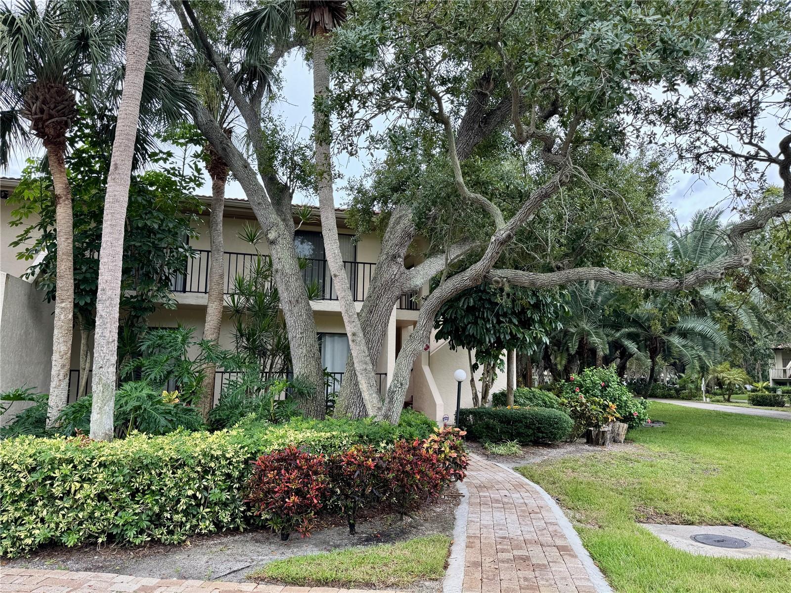 3450 Wood Owl Cir #284 — photo