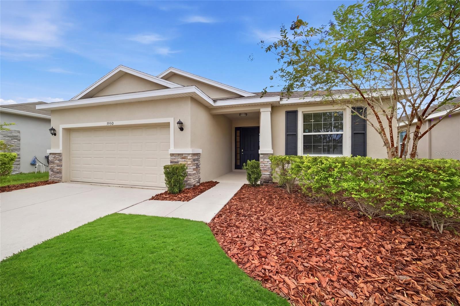 3940 Mossy Limb Ct — photo