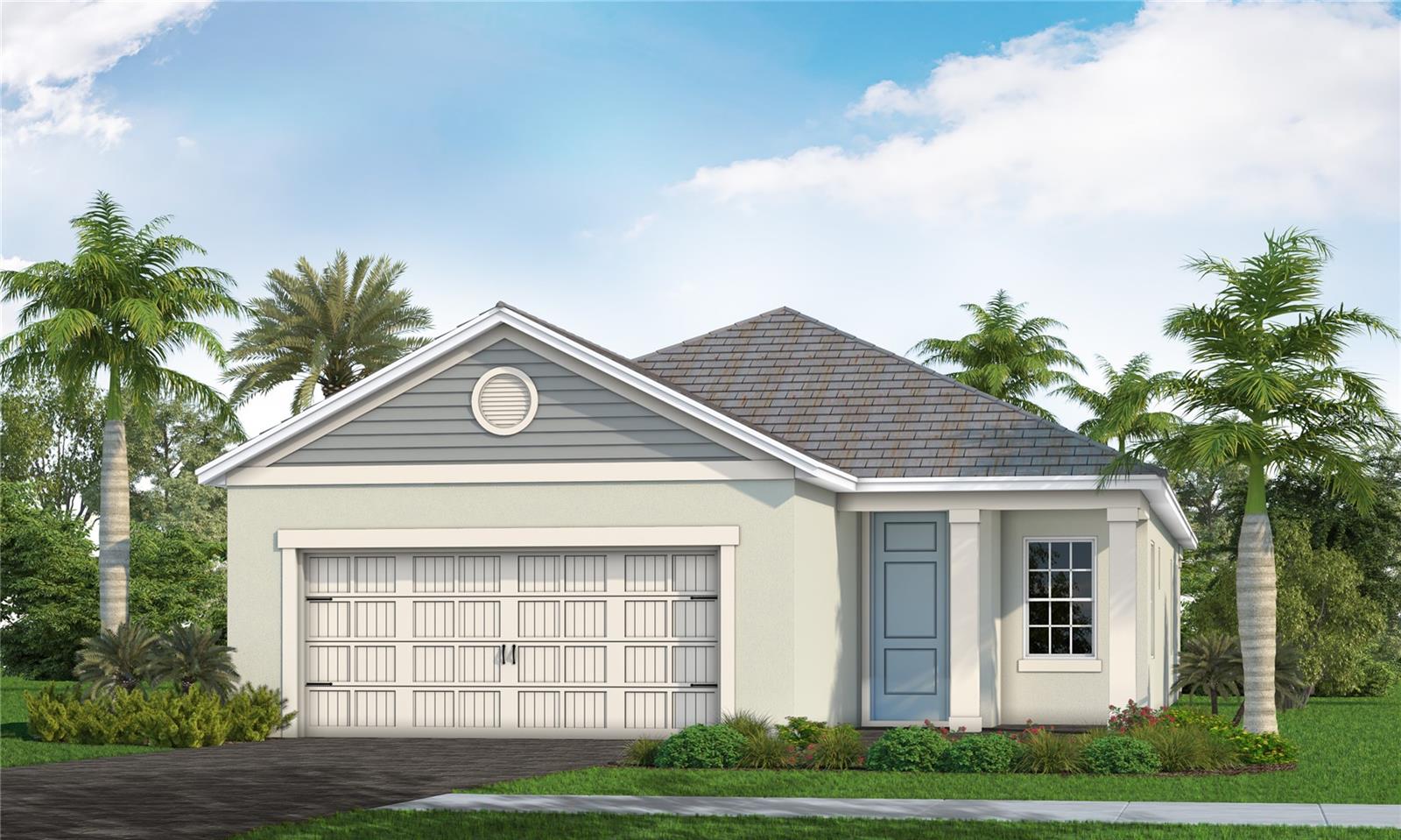 2166 Bamboo Palm CV — photo