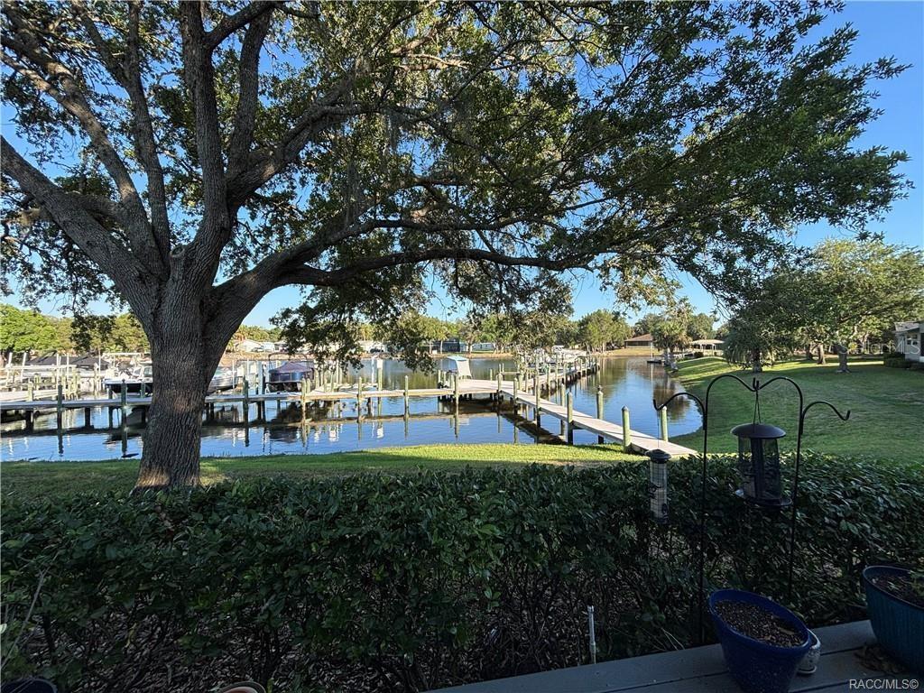11014 W Cove Harbor Dr, Crystalriver FL 34428 — photo