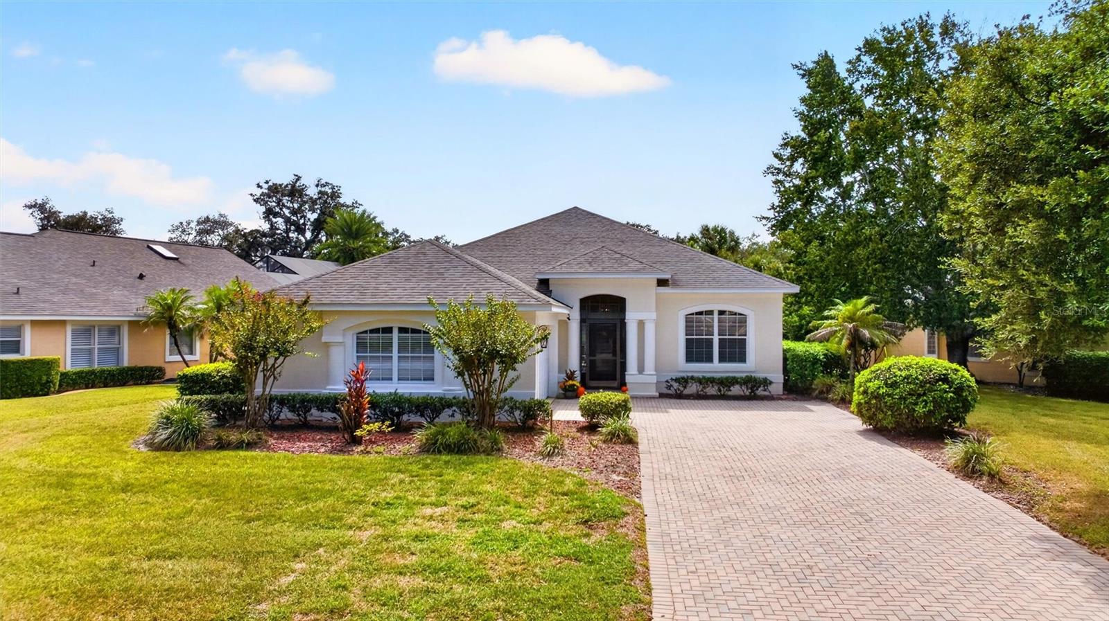 6 Acclaim At Lionspaw — photo