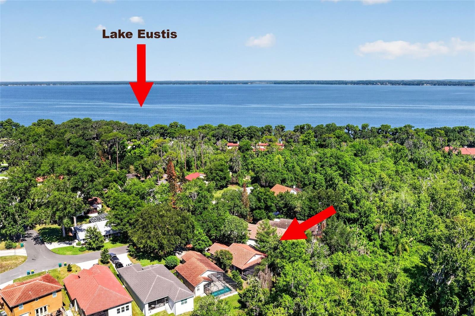 39 Forest Lane, Eustis, FL 32726 — photo 3