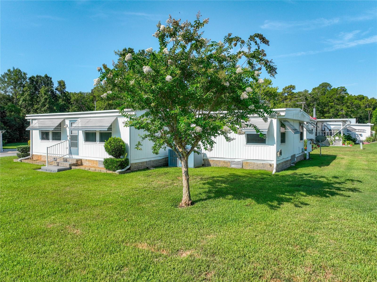 1925 Brookside Drive, Mount Dora, FL 32757 — photo 3
