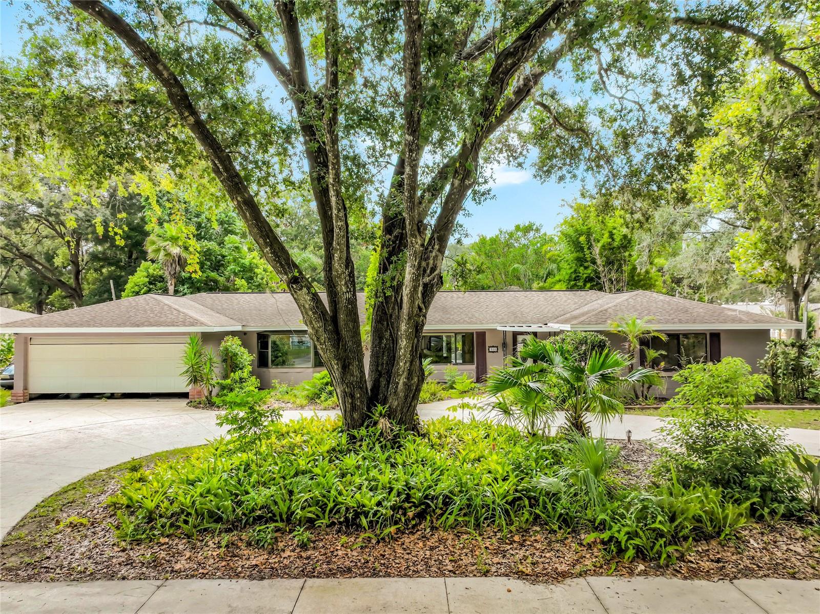 300 Pinecrest Road, Mount Dora, FL 32757 — photo 2