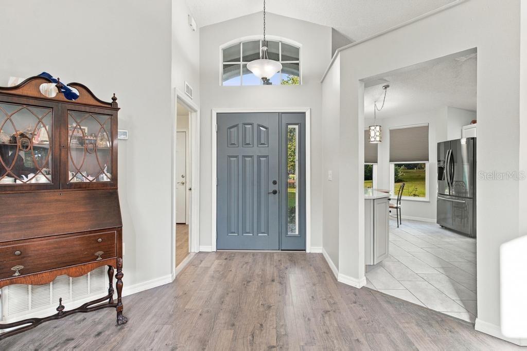 3017 E Beaumont Lane, Eustis, FL 32726 — photo 3