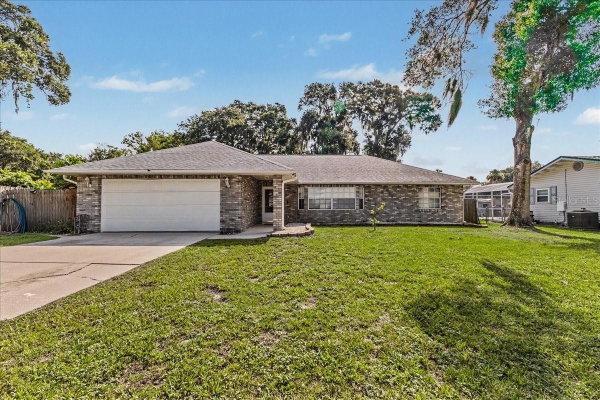 2311 Pine Tree — photo